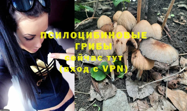 спиды Лихославль